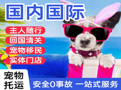 硕放航空邮寄国际宠物托运 【国